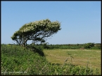 lioba_img_1842