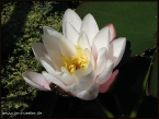 lioba_img_1902