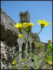 lioba_img_1975