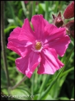 lioba_img_2033