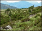 lioba_img_2273