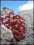 lioba_img_2492