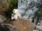 lioba_webimg_0464_0